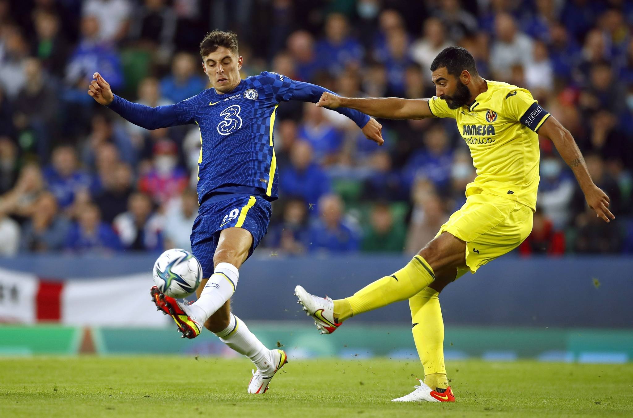 其多样的地 其多样的地